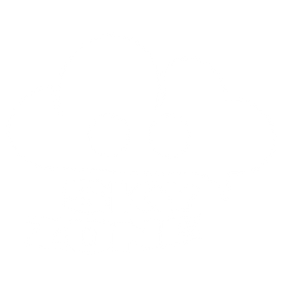 SKYZONE AUDIO